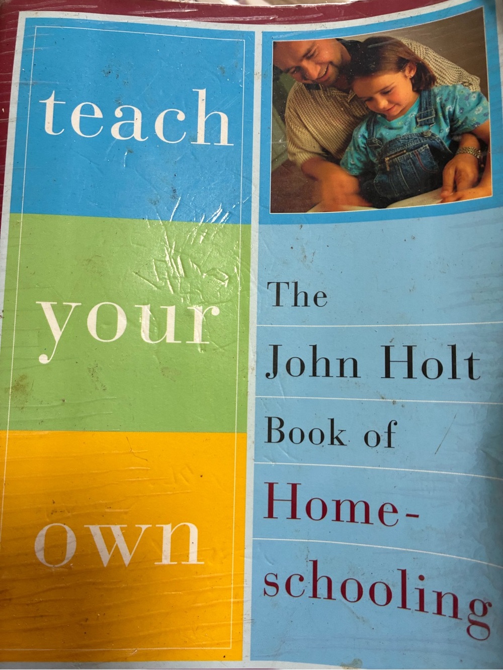 Teach Your Own: The John Holt Book of Homeschooling